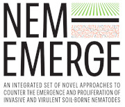 NEM-EMERGE