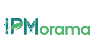IPMorama-no background