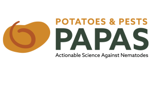 PAPAS-no background
